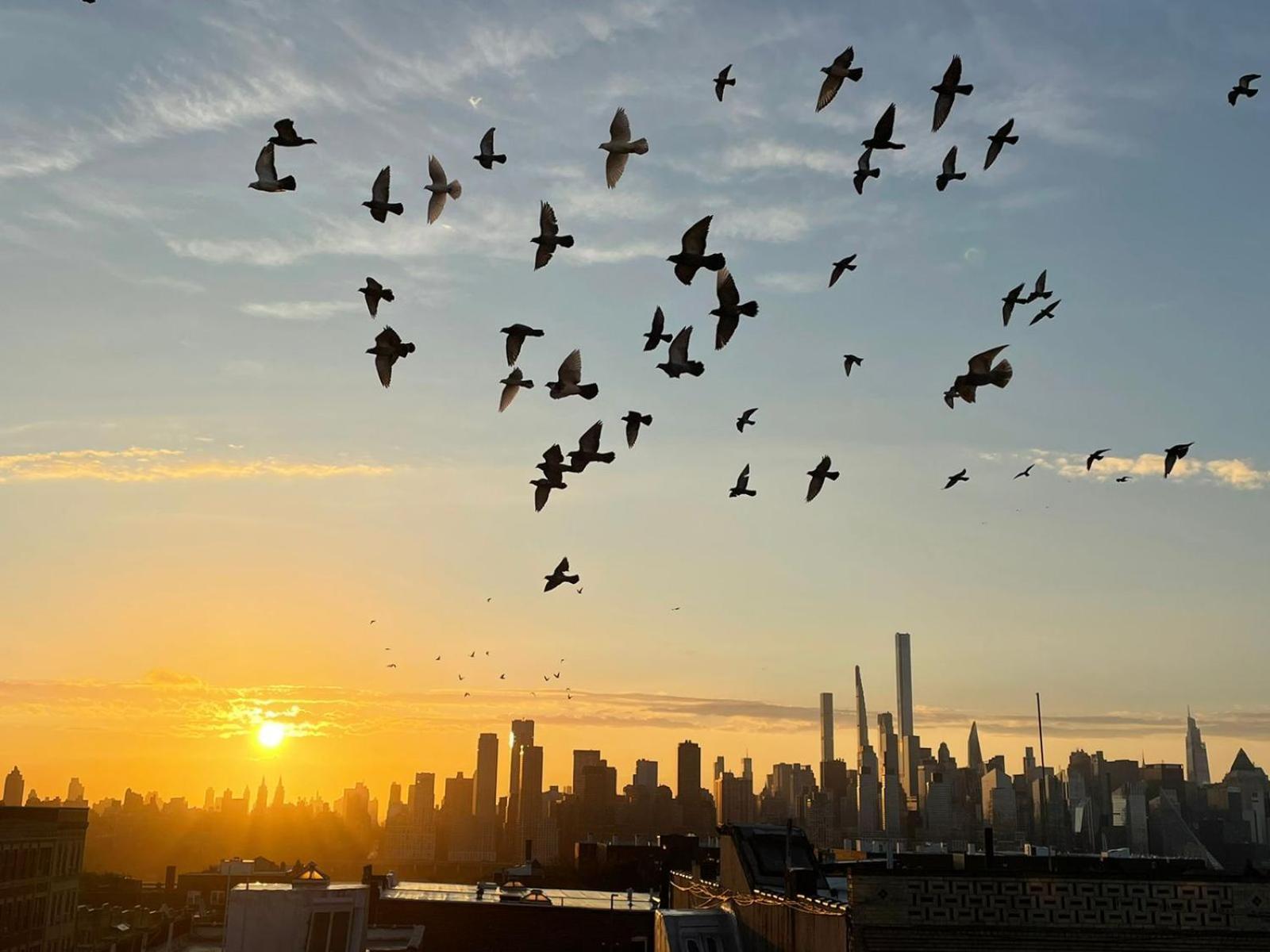 Апартаменты Ny Skyline One Of A Kind View Юнион-Сити Экстерьер фото